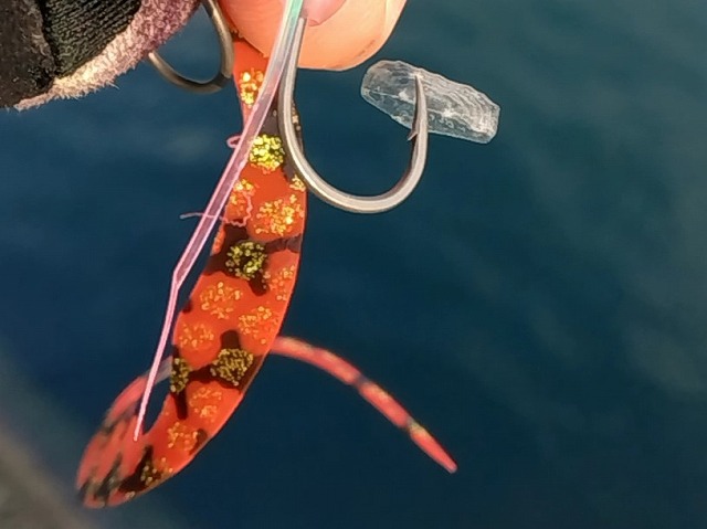 タイラバのフックについたウロコ
