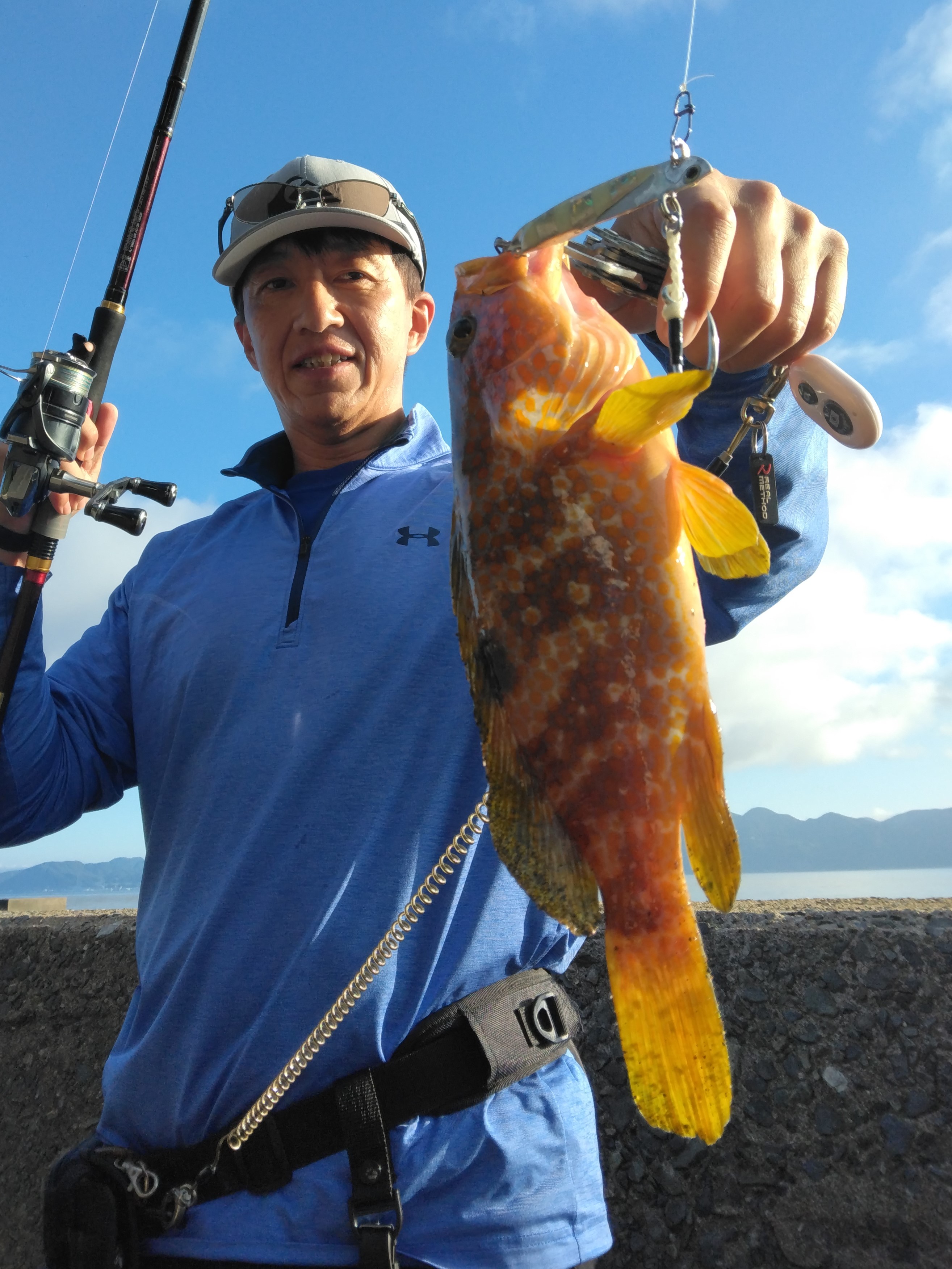 若狭湾のアコウ