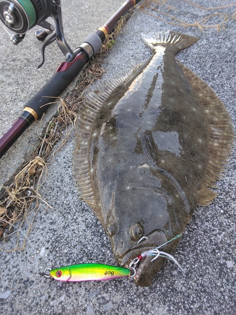 メタルジグを咥えたヒラメ