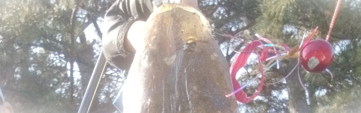 VAoލsL@쌧ۋTs̃}S`@2025/4/29