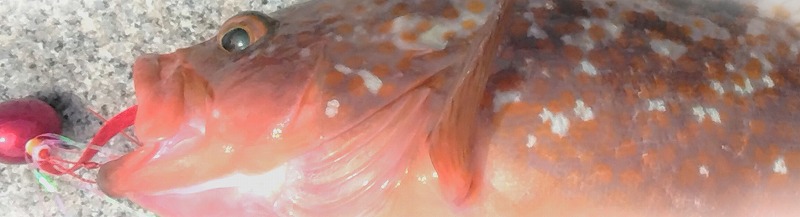 VAoލsL@쌧s̍oARE@2025/5/19