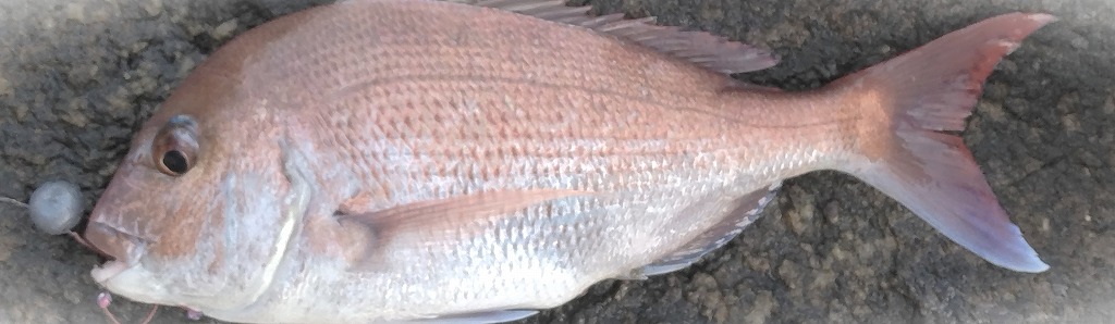 VAoލsL@쌧s̍o}_C@2025/6/28