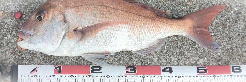 VAoލsL@쌧s̍o}_C@2025/7/19