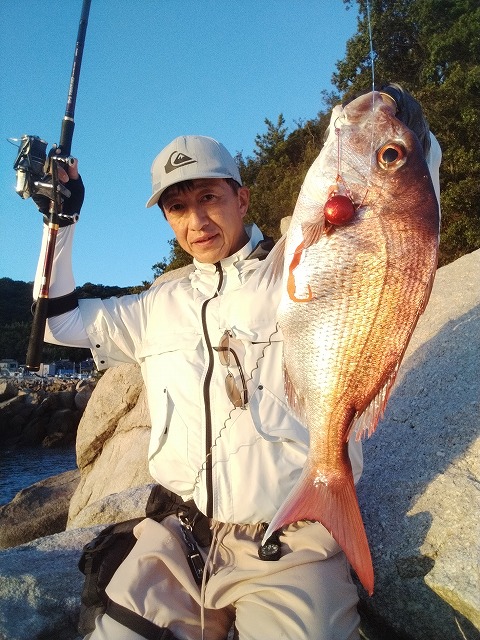 チャリコ物持ち