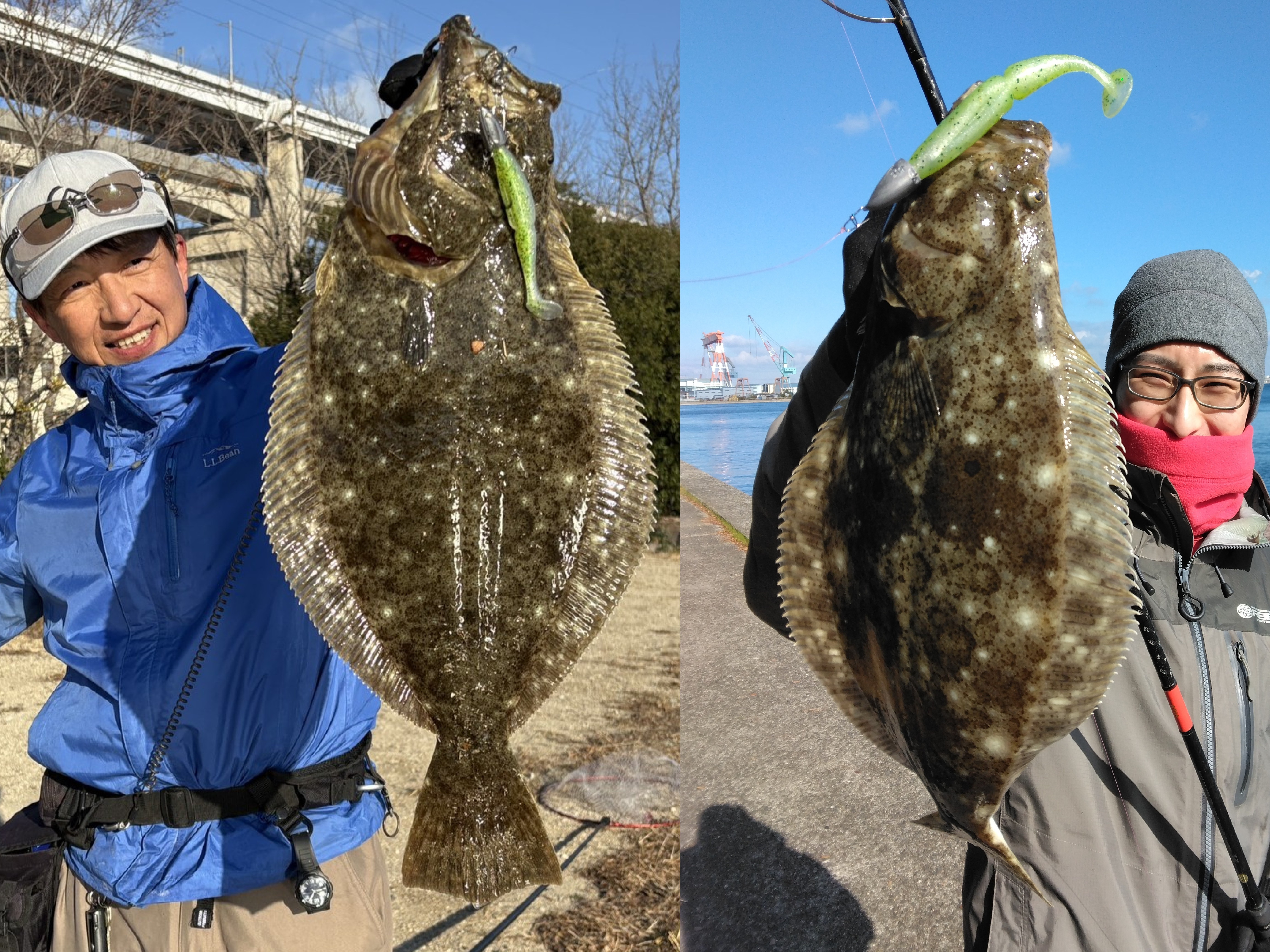 �e�q�Ńq�����Ԃ���