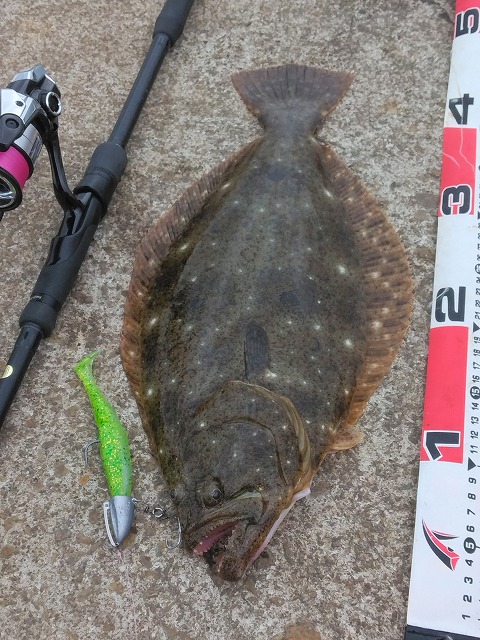 �q�����ƃ��W���[