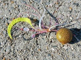 黄色いタイラバ