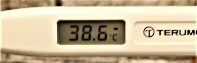 体温計38.6℃