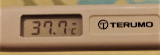 体温計37.7℃