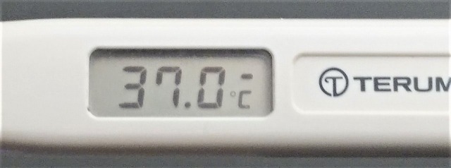 体温計37.0℃