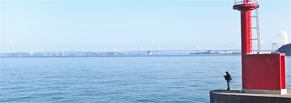 VAop^bN̑Iѕ}_Cqނ̂ɕKvȂ