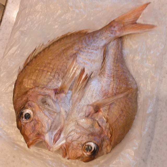 チャリコの一夜干し